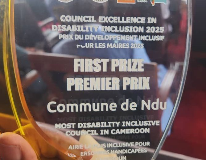 Ndu Council Recognized for Outstanding Disability Inclusion.